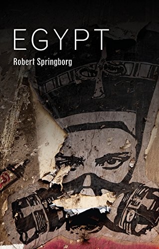 Egypt — Robert Springborg (Polity)